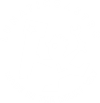 remote observatory logo 100.png